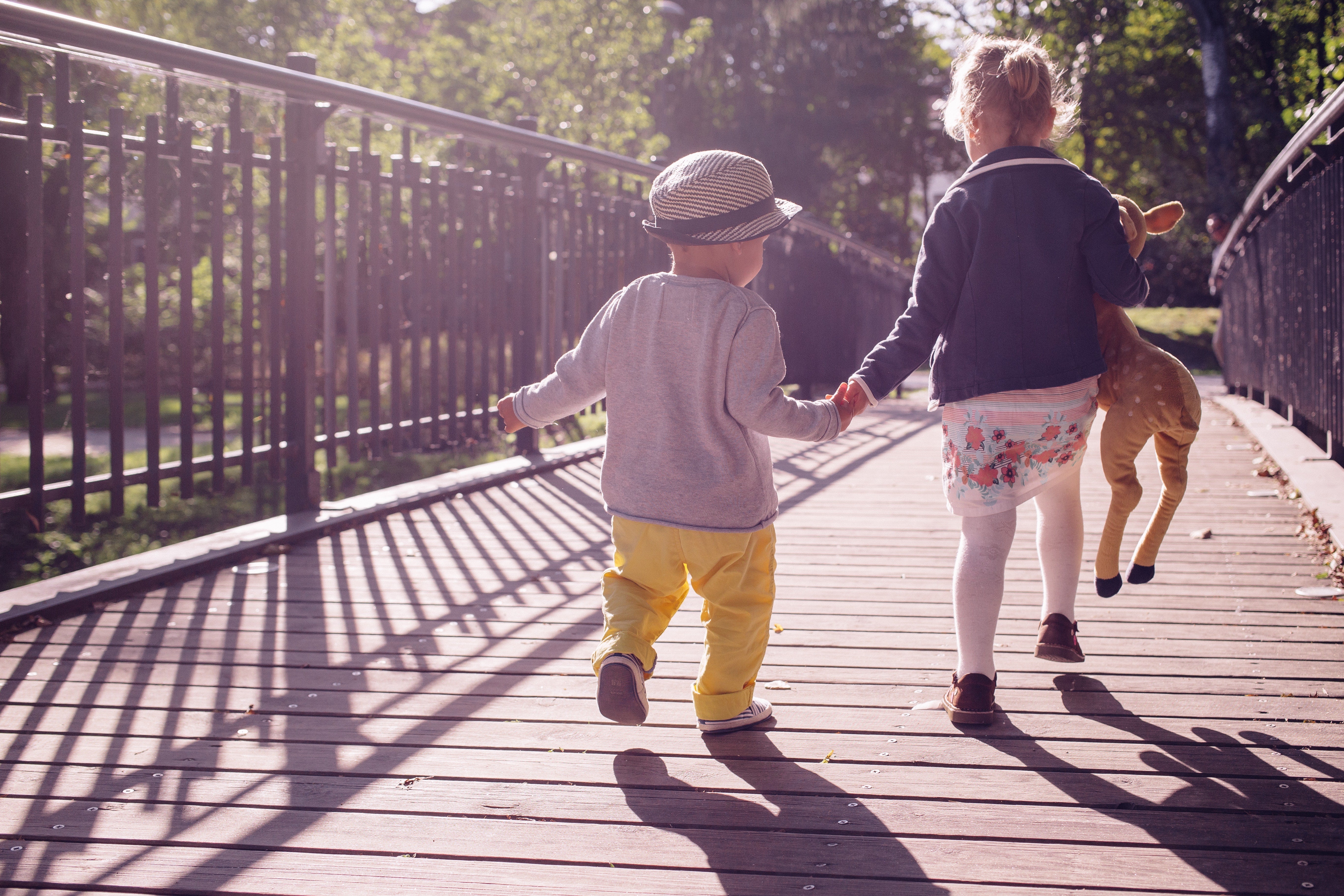 Best outdoor safety tips, especially for the kids.(Photo by freestocks.org from Pexels)
