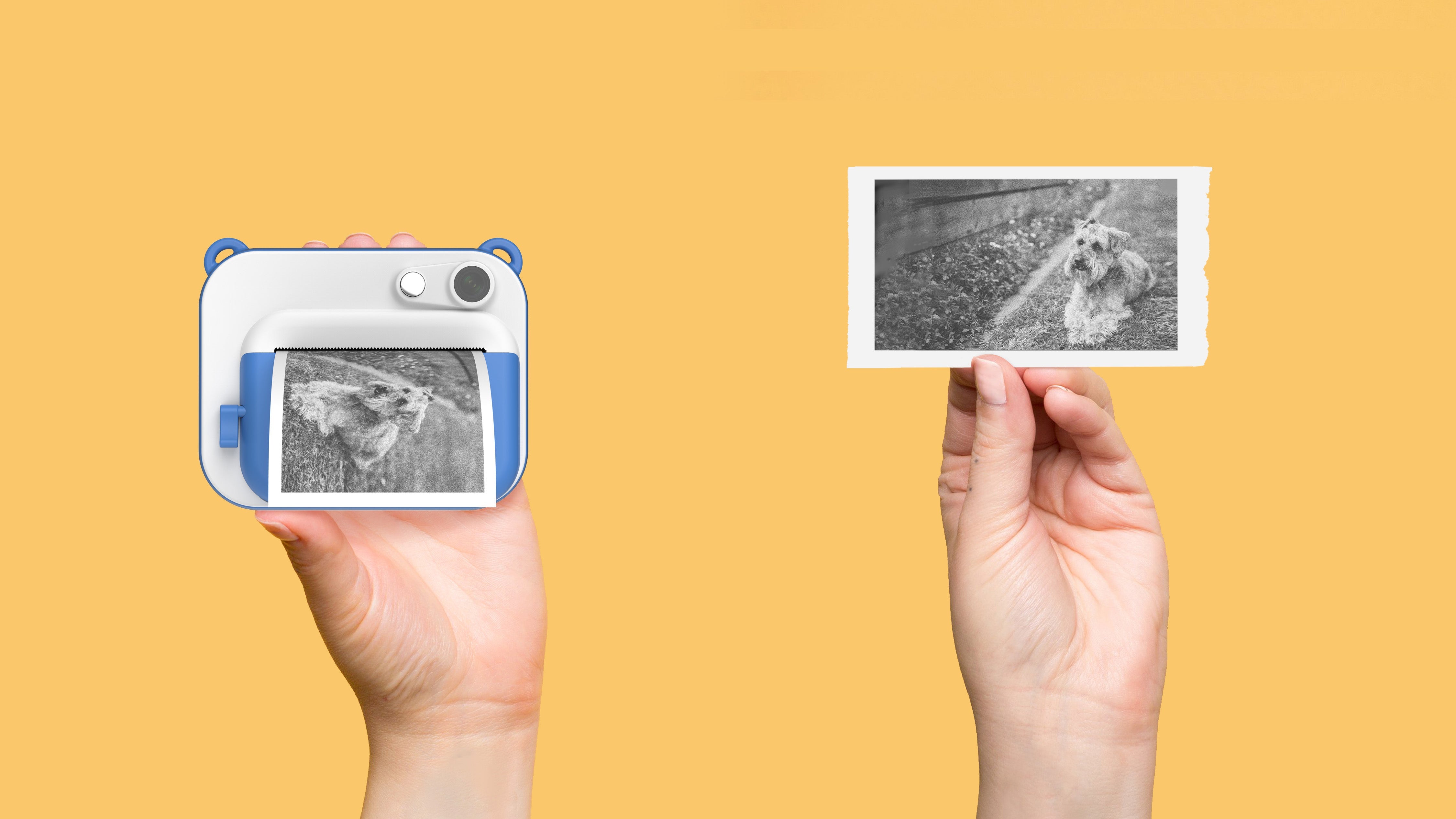 Instant Camera Instantly Set in the Photographic World